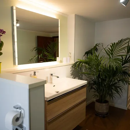 Apartman Michlhof *